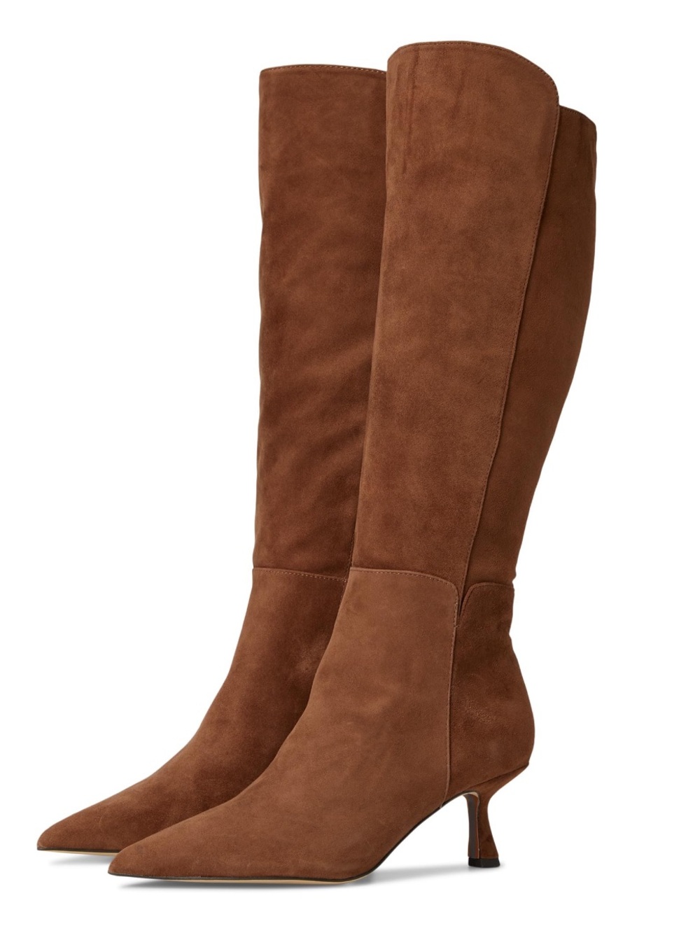 Sam Edelman Tall Pointed-Toe Suede Knee Boots in Brown